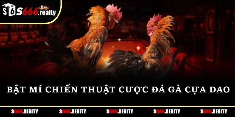 Bật mí chiến thuật cược đá gà cựa dao