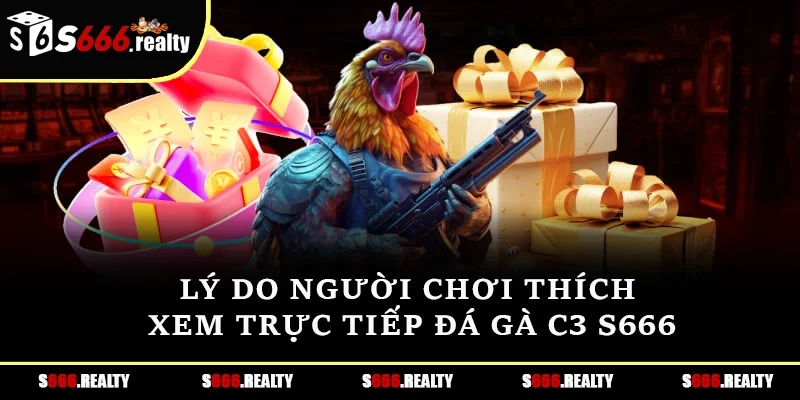 Lý do người chơi thích xem trực tiếp đá gà C3 S666